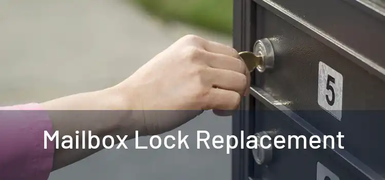  Mailbox Lock Replacement 
